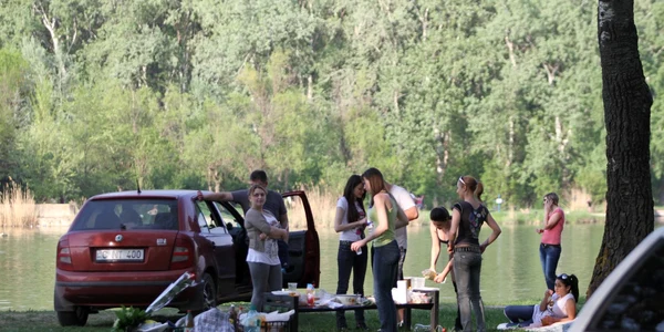 picnic