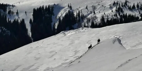 5aa6eba8df52022f757bf68c jpg