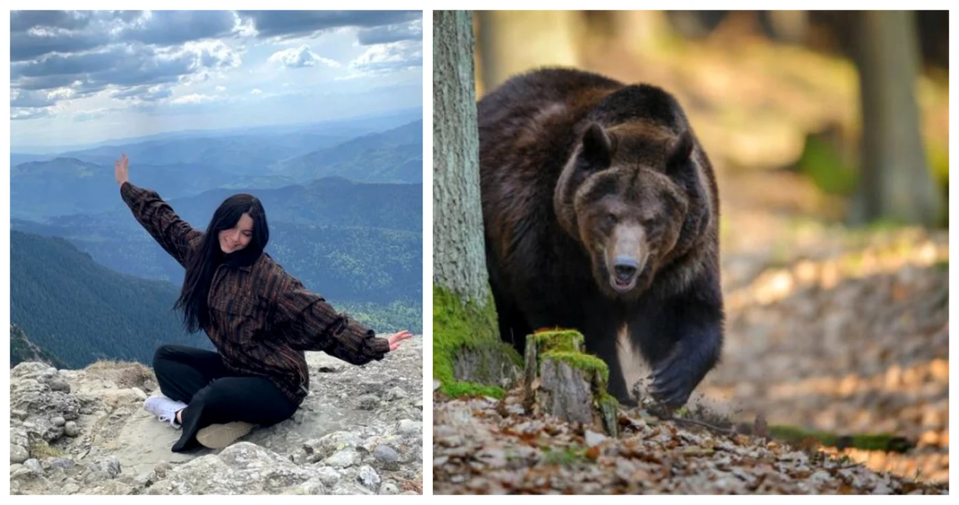 Tânăra a fost atacată de urs FOTO:  colaj Adevarul