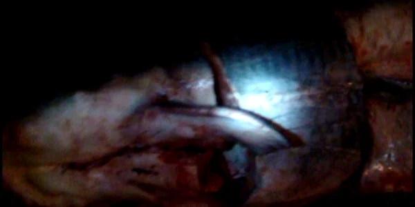 Morun de 156 kilograme