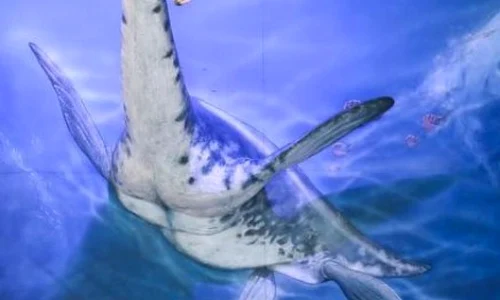 Au fost descoperite fosilele celui mai vechi monstru marin din Antarctica jpeg