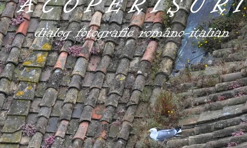 "Acoperişuri"  Expoziţie foto la MŢR jpeg