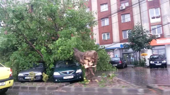 Furtună în Timişoara Foto: Carmen Stănescu