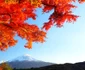 Japonia jpeg