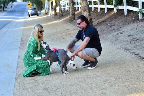 3 profimedia 0580842998 jpg jpeg