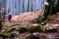 cetatea piatra rosie  Foto Daniel Guță JPG