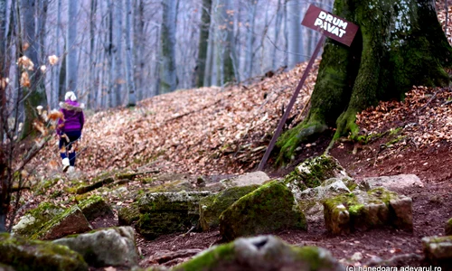 cetatea piatra rosie  Foto Daniel Guță JPG