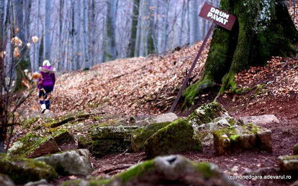 cetatea piatra rosie  Foto Daniel Guță JPG