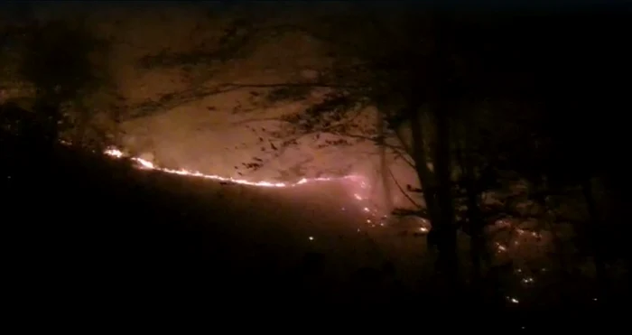 Flăcările au afectat 20.000 mp de teren, inclusiv pădure. FOTO ISU Argeș