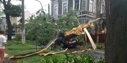 Furtuna din Braila FOTO Claudiu Mihai Pisica / Facebook