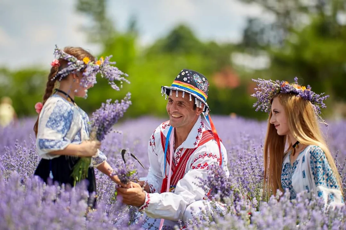 Festivalul de lavandă de la Uda Foto: Arhivă personală jpg