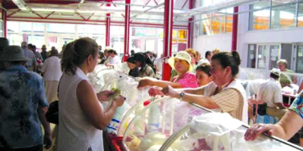 Bacau: Halele de lactate din oraş, găsite fără aviz veterinar