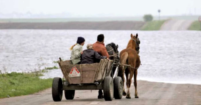 FOT Arhivă Adevărul