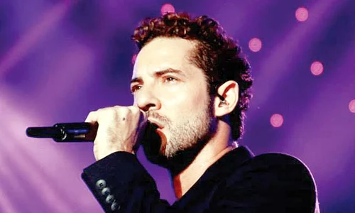 12 13 vedete david bisbal 4 jpeg