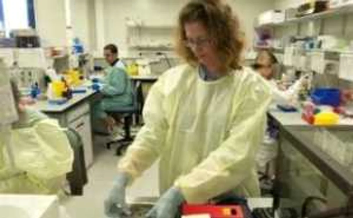Warning: four million people will be contaminated with A flu