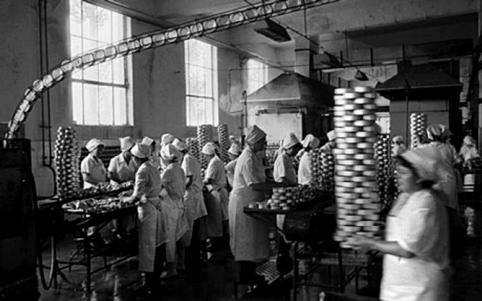 În fabrica de conserve