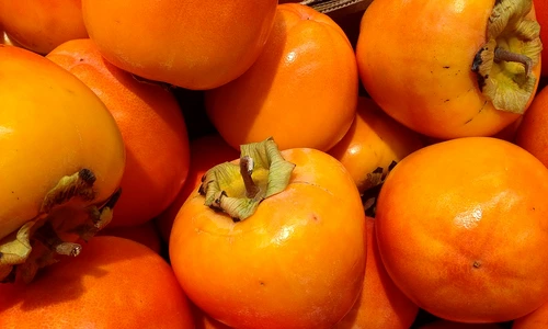 1 84455 original jpg jpeg