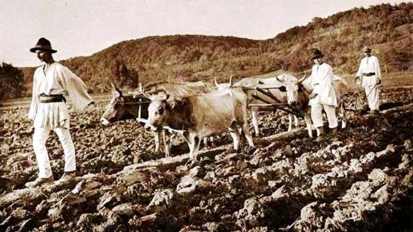 Ţăranii şi-au primit pământurile înapoi prin Legea de la 1921