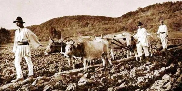 reforma agrara 1921