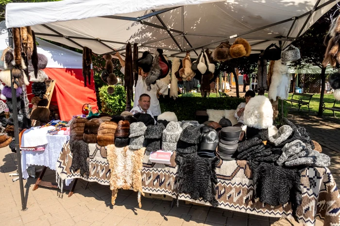 Stand expozițional din Parcul Central FOTO CMN Neamț