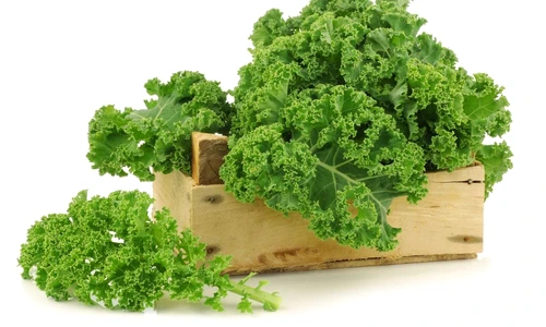 1 64183 original jpg jpeg