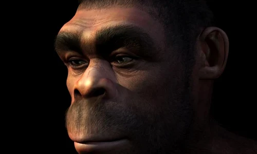 Încă am rămas oamenii cavernelor  Moduri prin care vechile instincte ne cauzează neplăceri jpeg