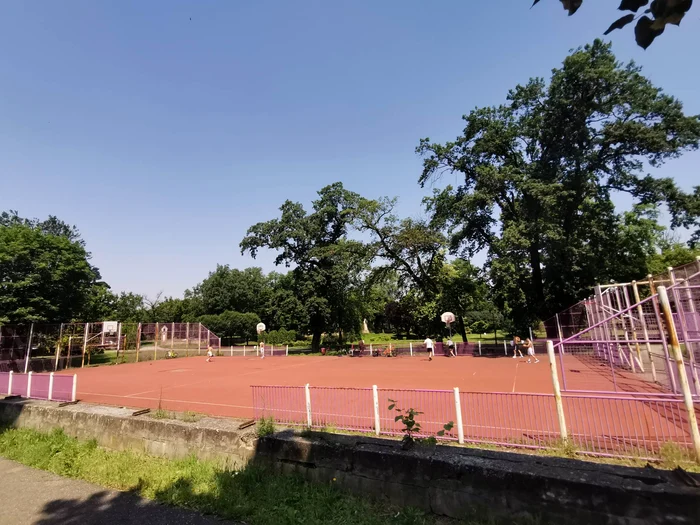 Potențialul unui teren de sport din Parcul Regina Maria