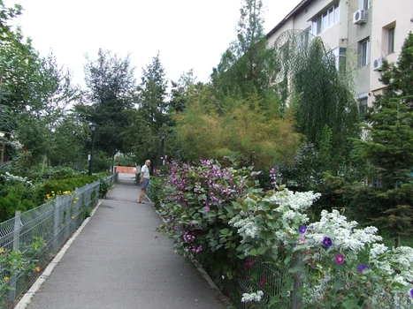 spatii 1