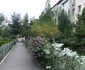 spatii 1
