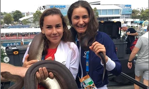 irina bara monica niculescu sarpe jpeg