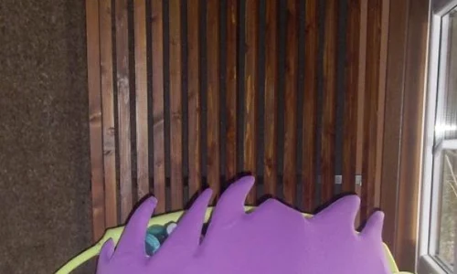 Mascota lui Smiley jpeg