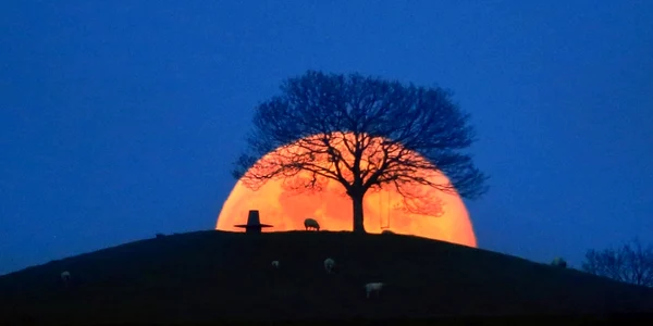 Luna plină roz se ridică peste Burrow Hill din Somerset Marea Britanie FOTO Profimedia