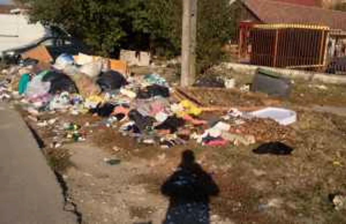 Timişoara năpădită de gunoi FOTO Oraşul Timişoara