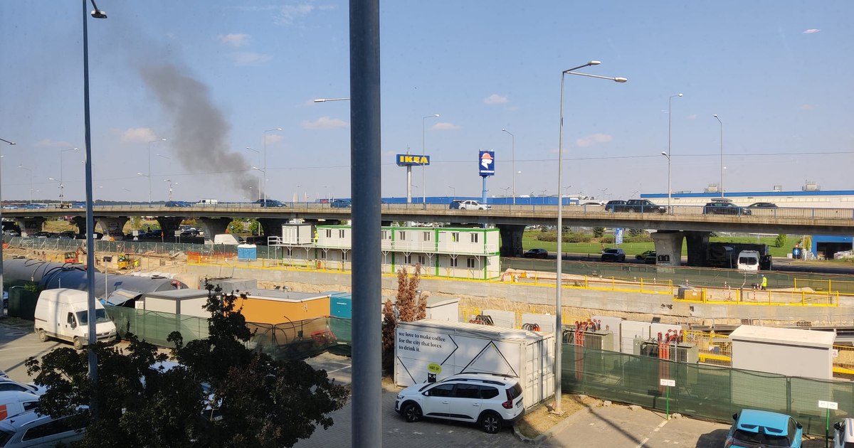 Incendiu la Grădina Zoologică din București pe 2000 mp