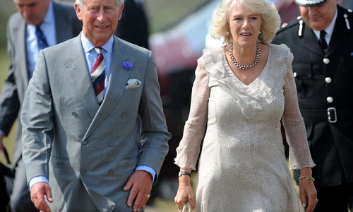 cuplu regal profi jpg