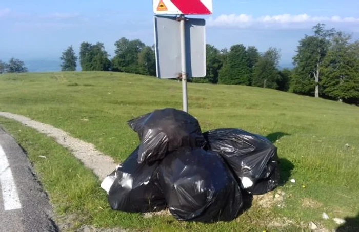 Sacii au fost lăsaţi la vedere