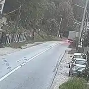 Rebrisoara gif