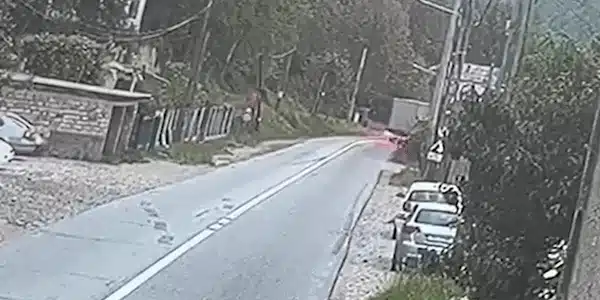 Rebrisoara gif