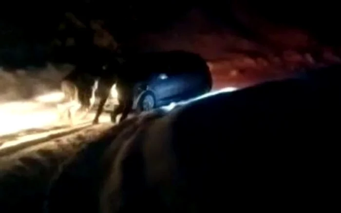 
    Mai mulţi turişti au rămas blocaţi în zona Munţilor Bucegi  