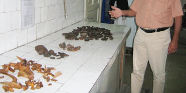 Arheologii îşi mută şantierul  la Pristol