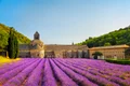 rsz câmp de lavandă din provence   shutterstock jpg