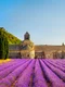 rsz câmp de lavandă din provence   shutterstock jpg
