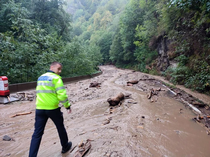FOTO IPJ Alba