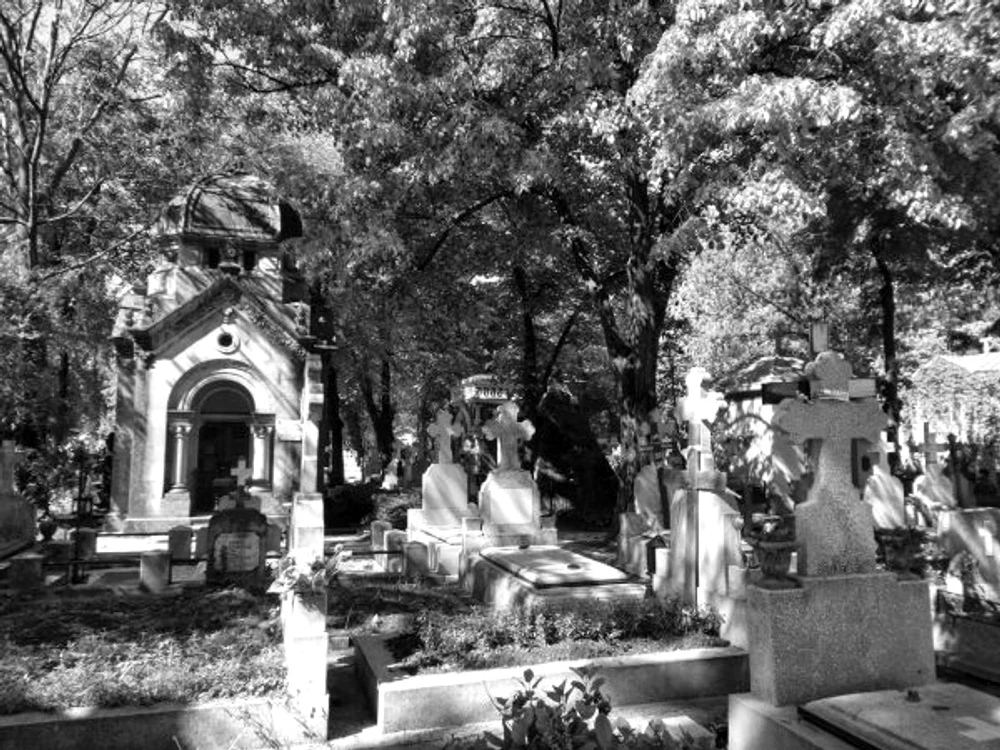 23 wc cimitirul bellu 12 jpg jpeg