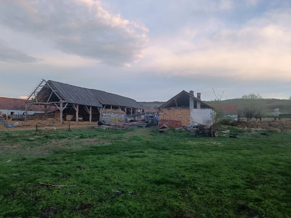 Un minor a fost exploatat la o stână în județul Brașov FOTO IPJ Brașov