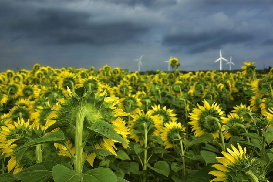 România nu scapă de ploi și vânt puternic. Cod galben de instabilitate atmosferică în jumătate de țară