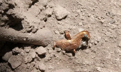 Arheologii descoperă ruinele unui oraş antic din Israel, distrus de un cutremur jpeg