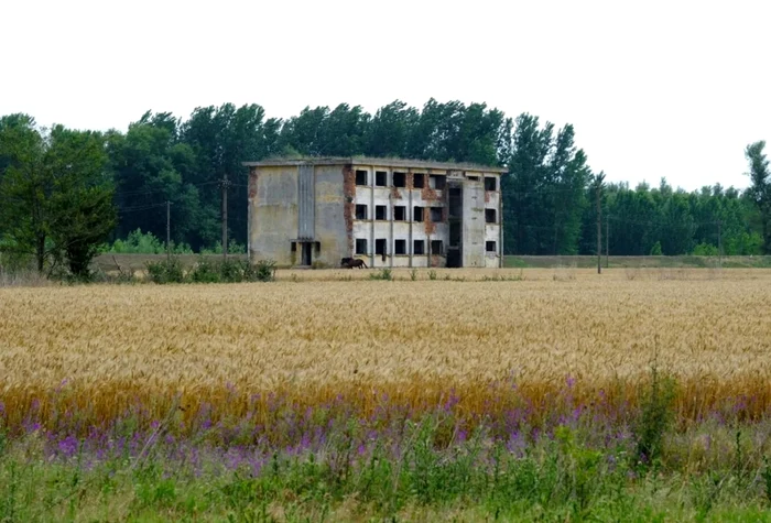 Ruine la Salcia FOTO Arhiepiscopia Dunarii de Jos