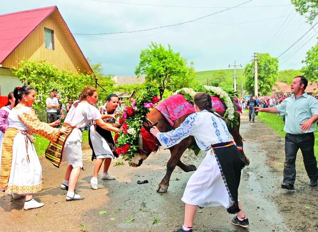 Anul acesta, puţine fete s-au încumetat să ia taurul de coarne