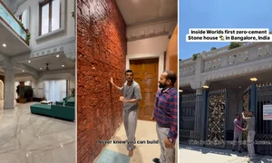 Casa din India, construită fără ciment, creată pentru a dura peste 1000 de ani Colaj Instagram